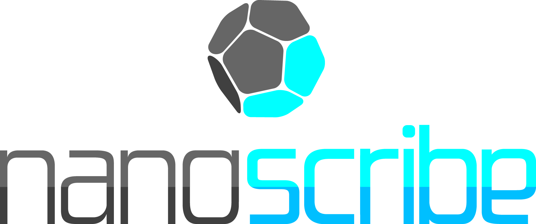 Logo Nanoscribe CMYK